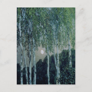 Birch Trees Postcard