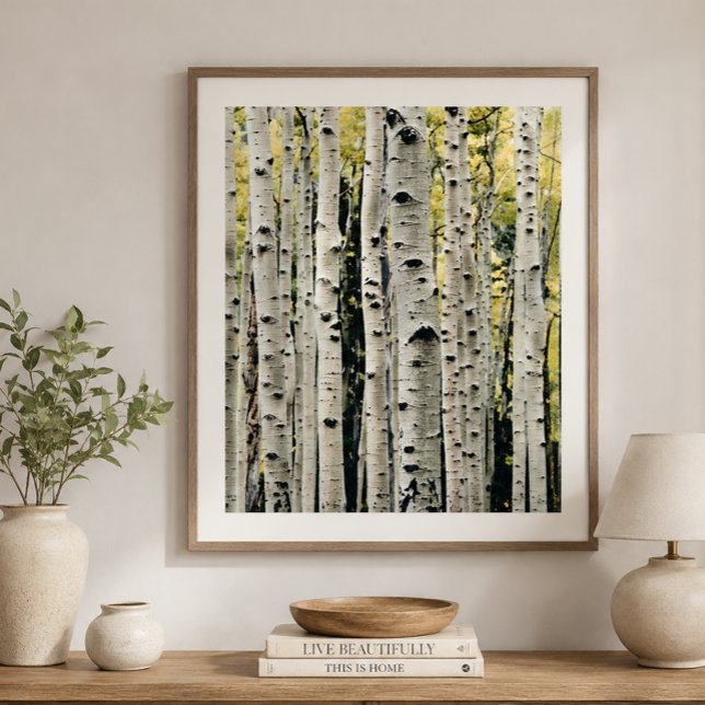 Birch Trees Rustic Cabin Poster (Creator Uploaded)
