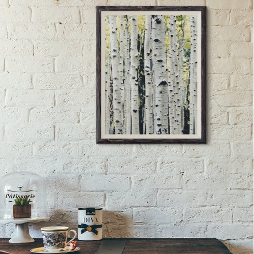 Birch Trees Rustic Cabin Poster