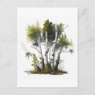Birch Trees, The Birches Northern Ireland Postcard