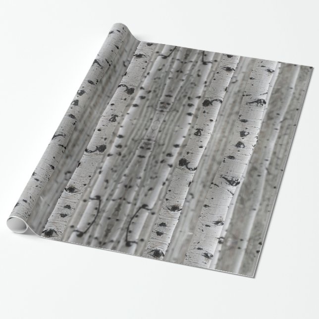 Birch trees wrapping paper (Unrolled)