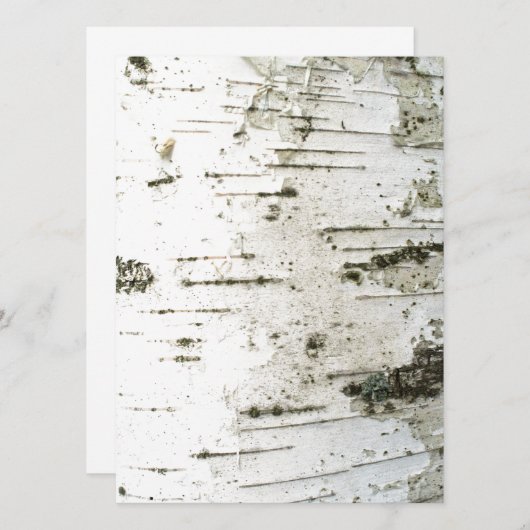 Birch trunk (Front/Back)