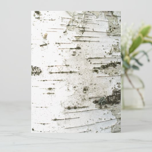 Birch trunk (Standing Front)