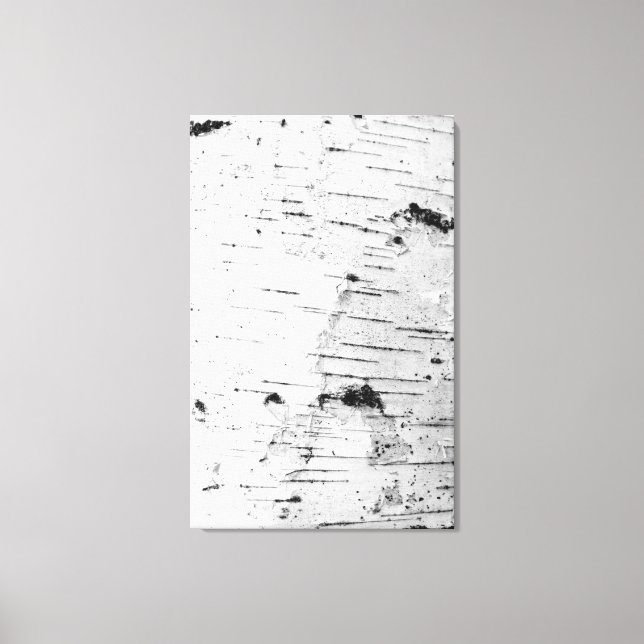 Birch trunk canvas print (Front)