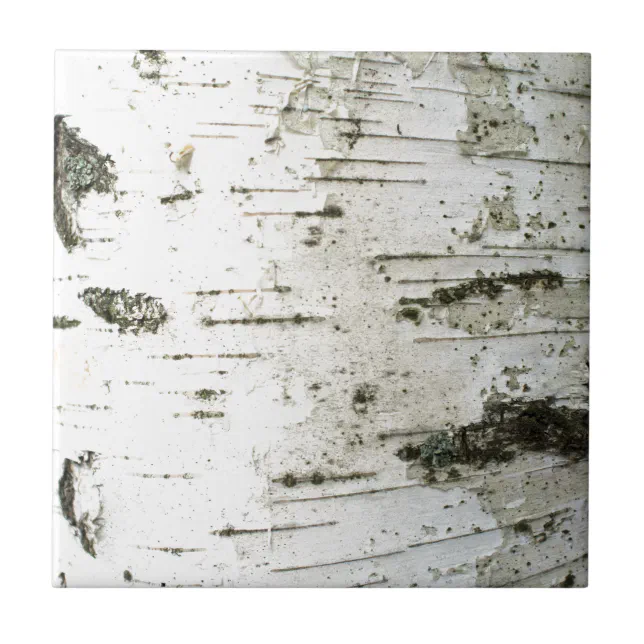Birch trunk tile | Zazzle