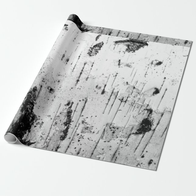 Birch trunk wrapping paper (Unrolled)