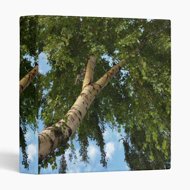 birch umbrella binder (Front/Spine)