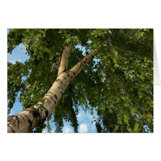 birch umbrella cards (Front Horizontal)