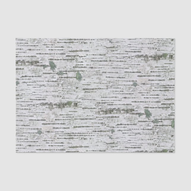 Birch Wood Texture Tissue Paper (Front)