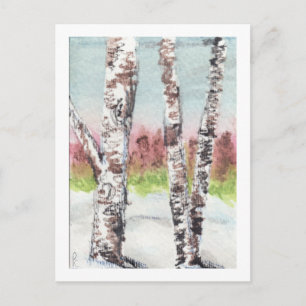 Birch Woods Postcard