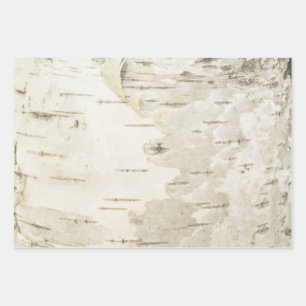 Birch Wrapping Paper Nature Birch Bark Paper