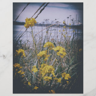 birchbay flowers scrapbook paper sheet
