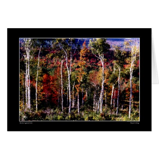 Birches Against Color Card (Front Horizontal)