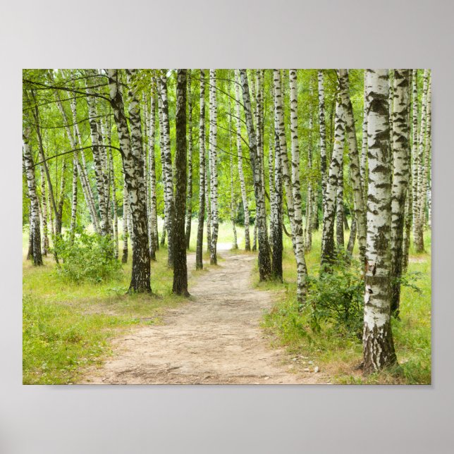 Birchwood Poster (Front)