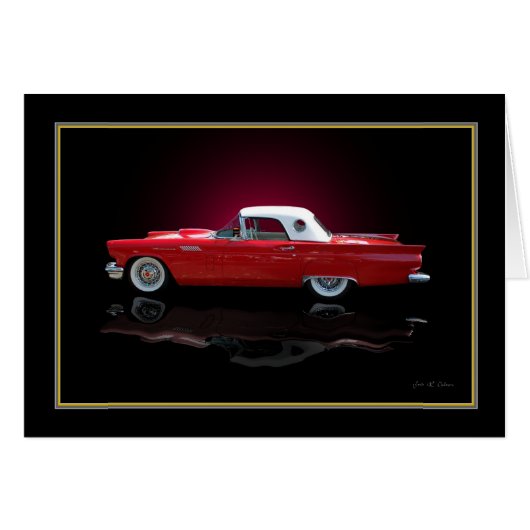 bird (Front Horizontal)