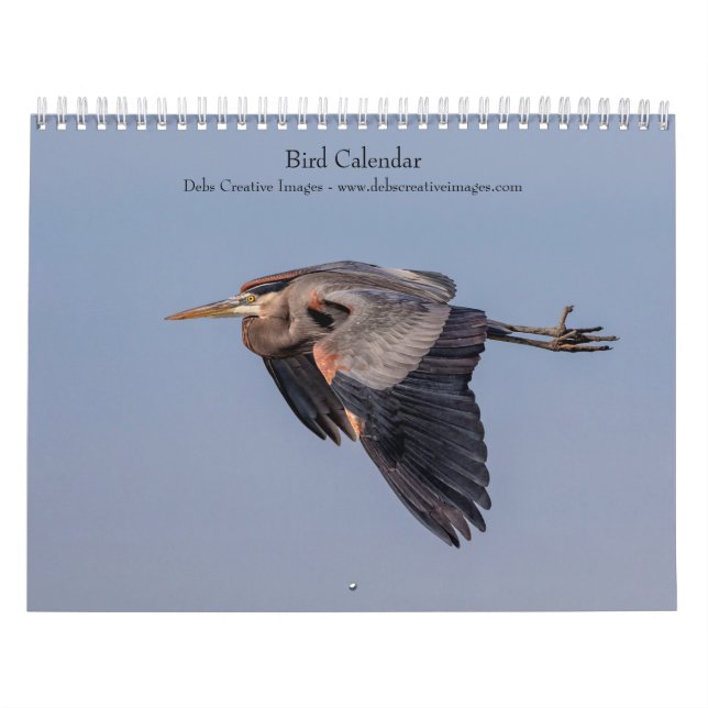 Bird 2026 calendar (Cover)