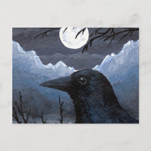 Bird 58 Crow Raven Postcard