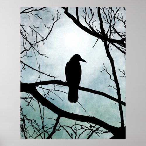 bird 77 Crow Raven Poster