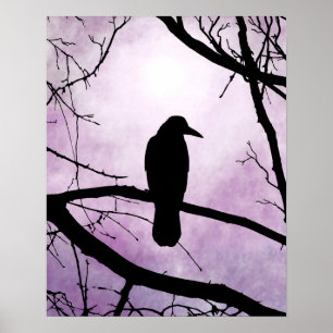 bird 78 Crow Raven Poster