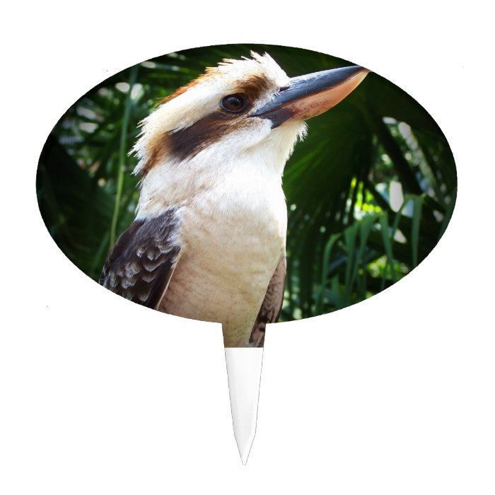 bird against green Kookaburra Cake Pick