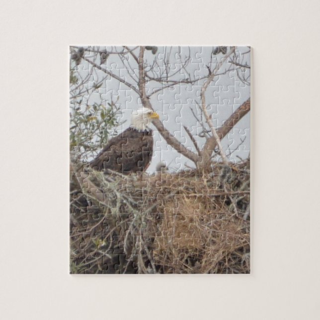 Bird American Bald Eagle Eaglet  Nest Nature Jigsaw Puzzle (Vertical)