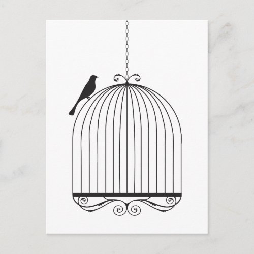 Bird and Birdcage Postcard