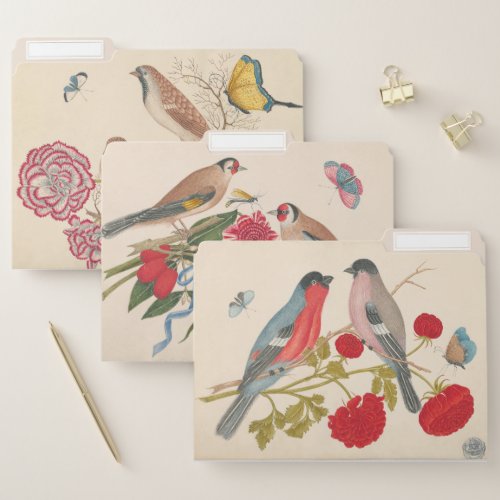 Bird and floral art from the Smithsonian Museum File Folder