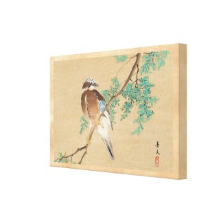 Bird and Flower, Eurasian Jay and Chinese Arborvit Canvas Print
