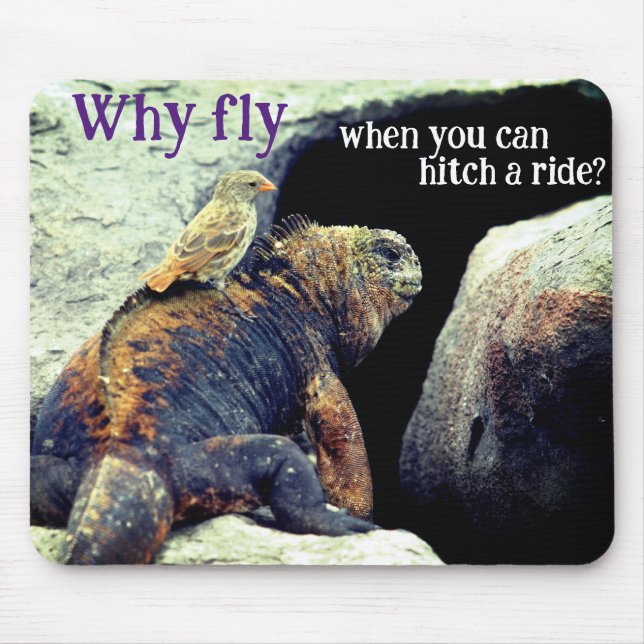 Bird and Marine Iguana Mouse Pad (Front)