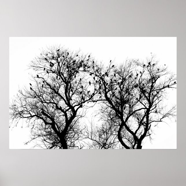 Bird and tree silhouette. poster (Front)