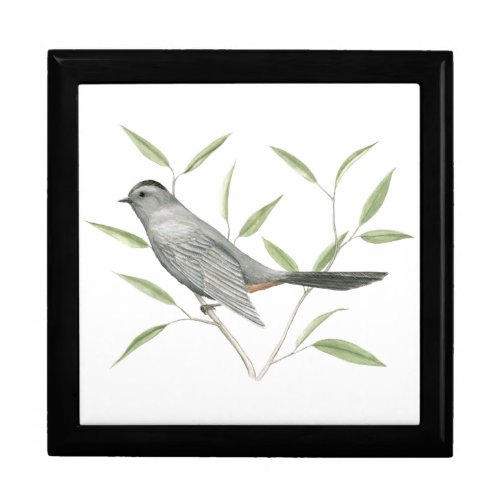Bird Art Gift Box with Gray Catbird Illustration