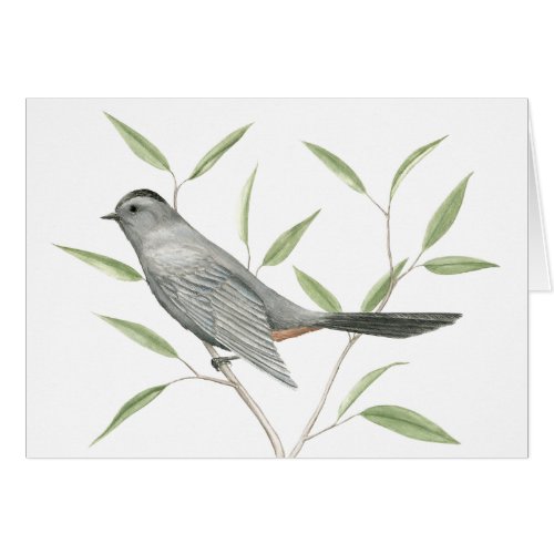 Bird Art Note Card or Greeting Card
