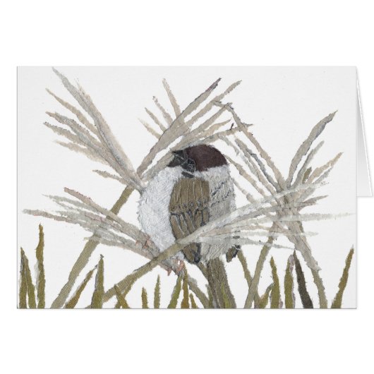Bird Art, Sparrow, Winter Cards (Front Horizontal)