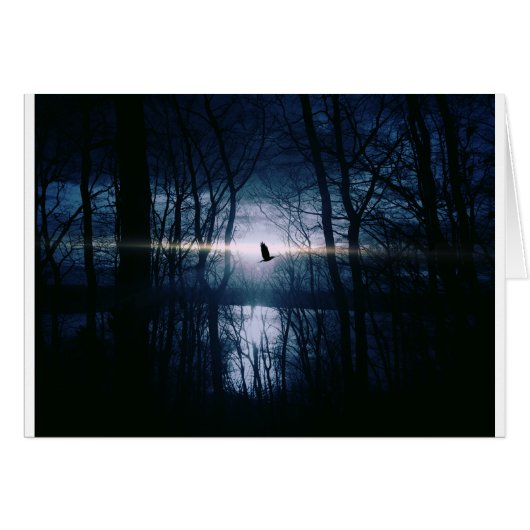 Bird at moonlight (Front Horizontal)