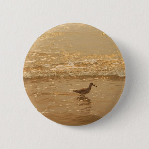 Bird at the beach pinback button