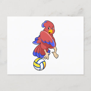Bird at Volleyball Sports Postcard