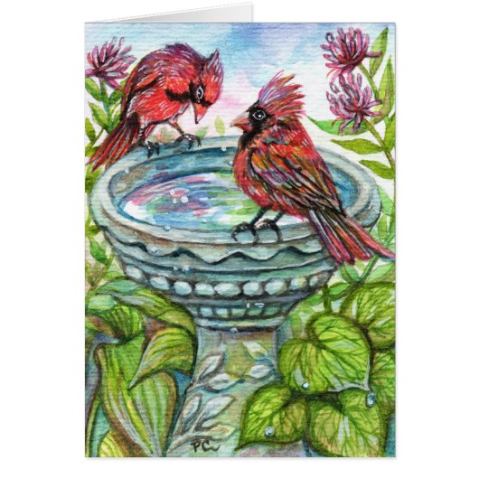Bird Bath Cards (Front)