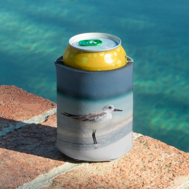Bird beach can cooler (In Situ Pool)