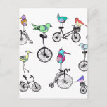 Bird Bike Illustration Postcard at Zazzle