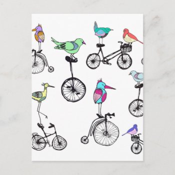Bird Bike Illustration Postcard by Brouhaha_Bazaar at Zazzle