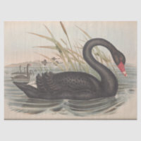 Bird Black Swan Ephemera Decoupage