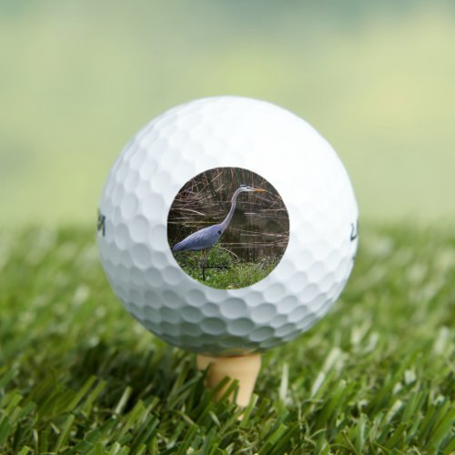 Bird Blue Heron Photo Golf Balls