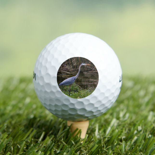 Bird Blue Heron Photo Golf Balls (Insitu Tee)