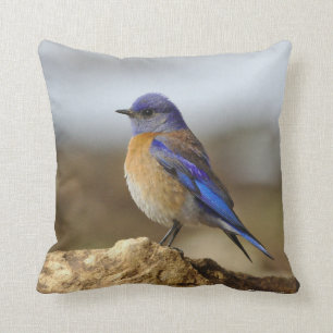 Bird, Bluebird, 2-sided, Throw Pillow
