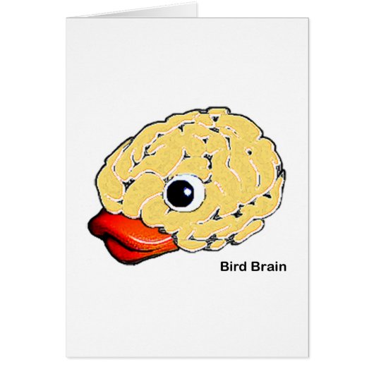 Bird Brain Cards (Front)