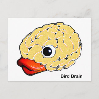 Bird Brain Postcard