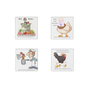 "Bird Brains Chicken Humor" Stone Magnet