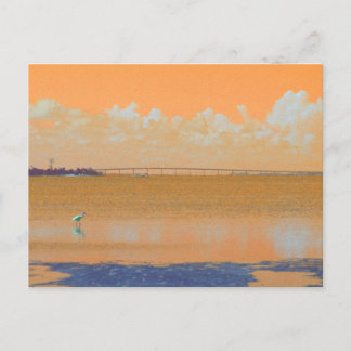 Bird Bridge Orange Blue River Florida Postcard
