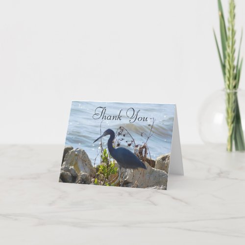 Bird By the Bay Little Blue Heron Bird Lovers  Thank You Card