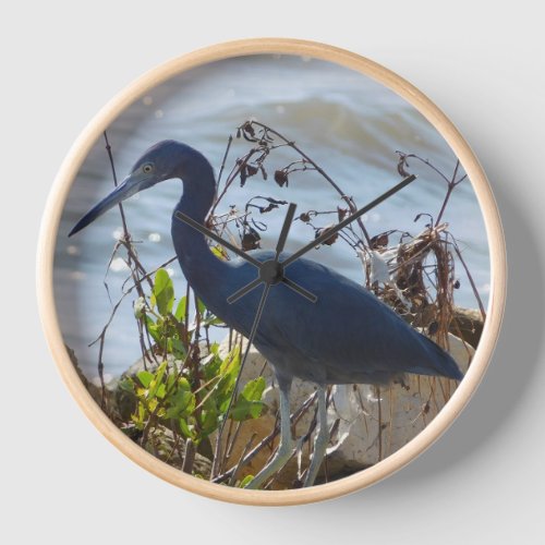 Bird by the Bay Little Blue Heron Safety Harbor  Clock